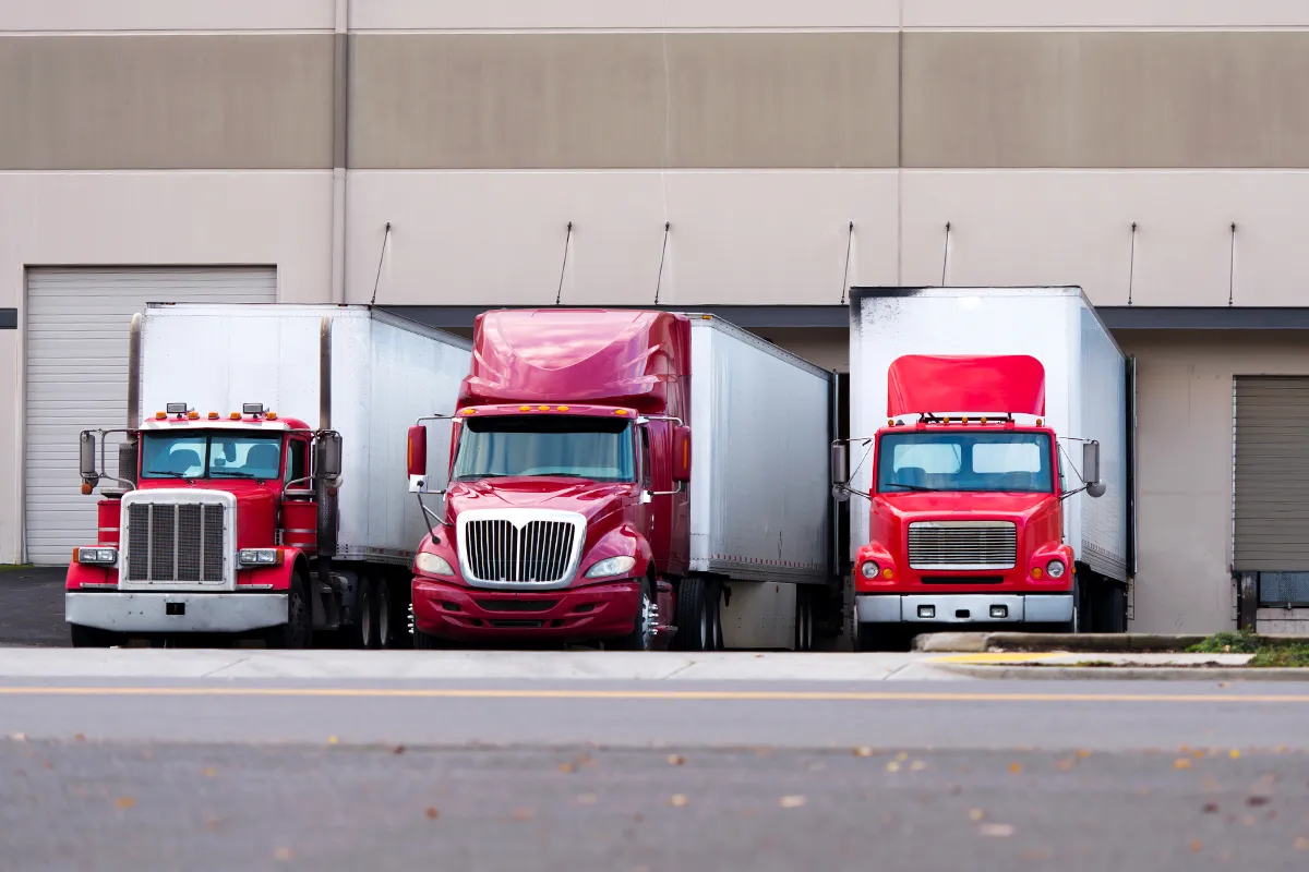 TRANSPORTE