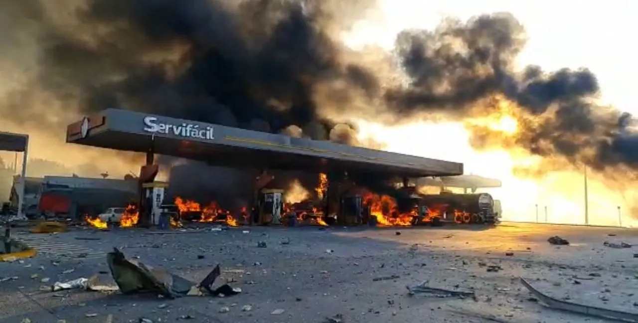 WhatsApp Image 2023-02-04 at 09.56.00 (1)