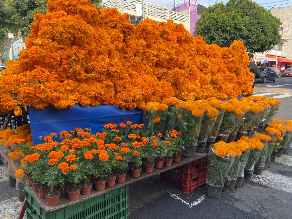 CEMPASUCHIL PANTEONES DIA DE MUERTOS
