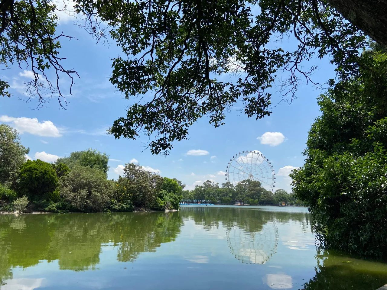 BOSQUE DE CHAPULTEPEC