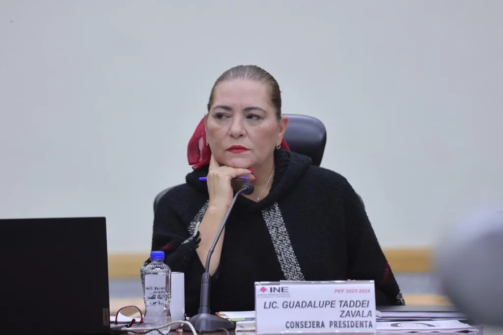 TADDEI INE