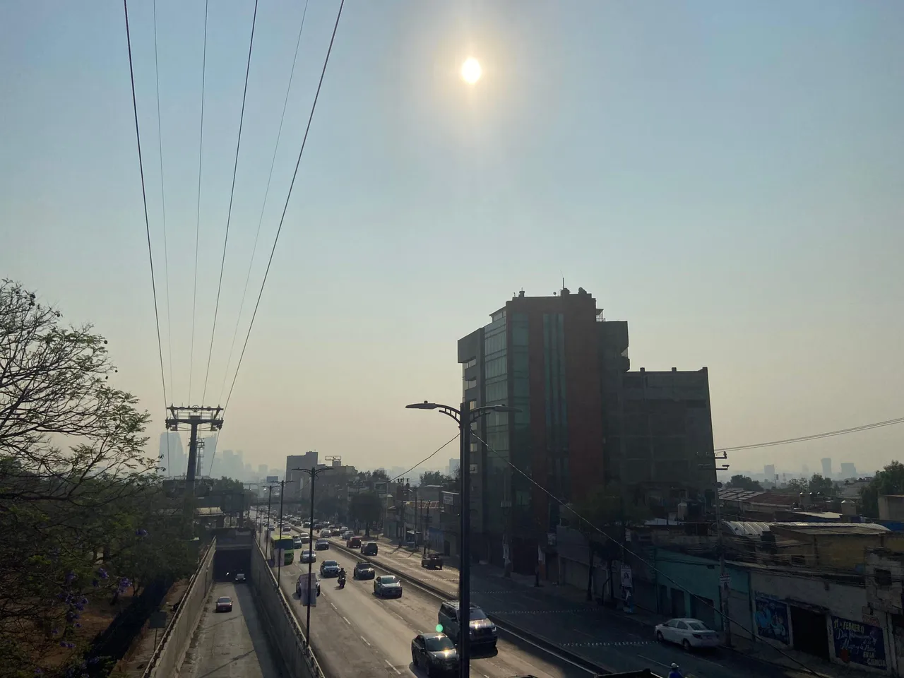 ¡Toma precauciones! Activan Fase 1 de Contingencia Ambiental: autos que no circulan este domingo.