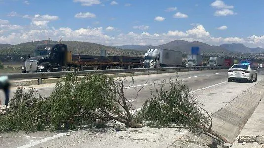 cierre arco norte