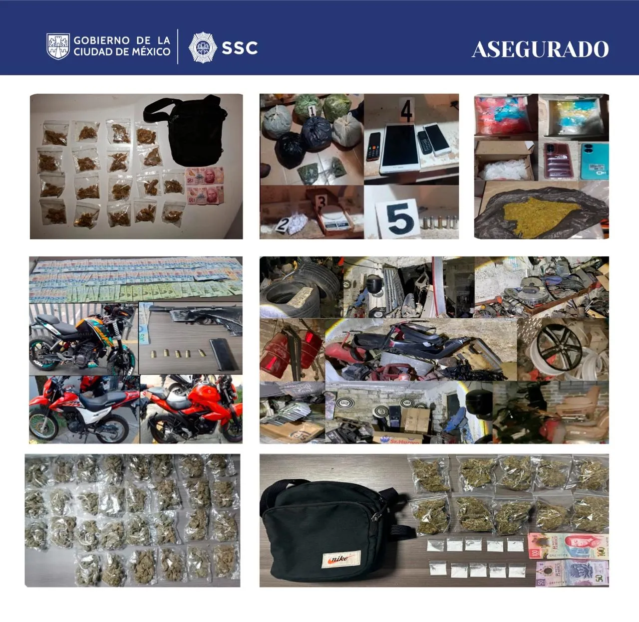 WhatsApp Image 2024-11-04 at 08.15.40