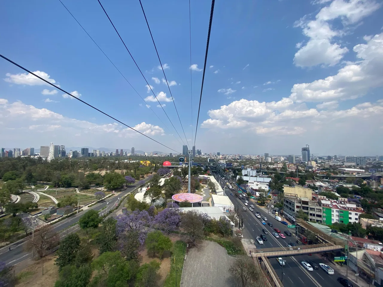 CDMX . G FEWD