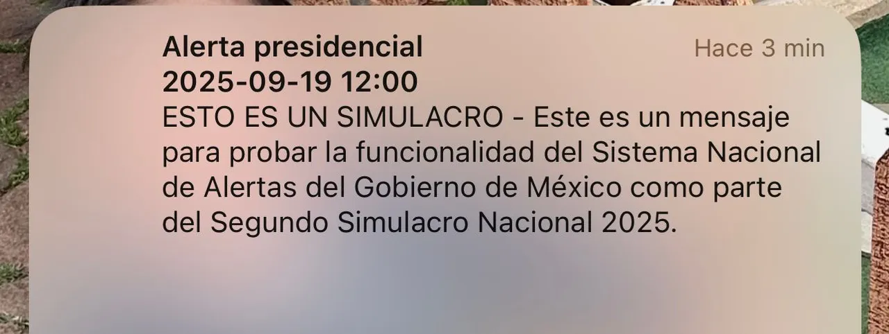 Ciudadanos revisan sus celulares tras no recibir la alerta sísmica en el Simulacro Nacional 2025