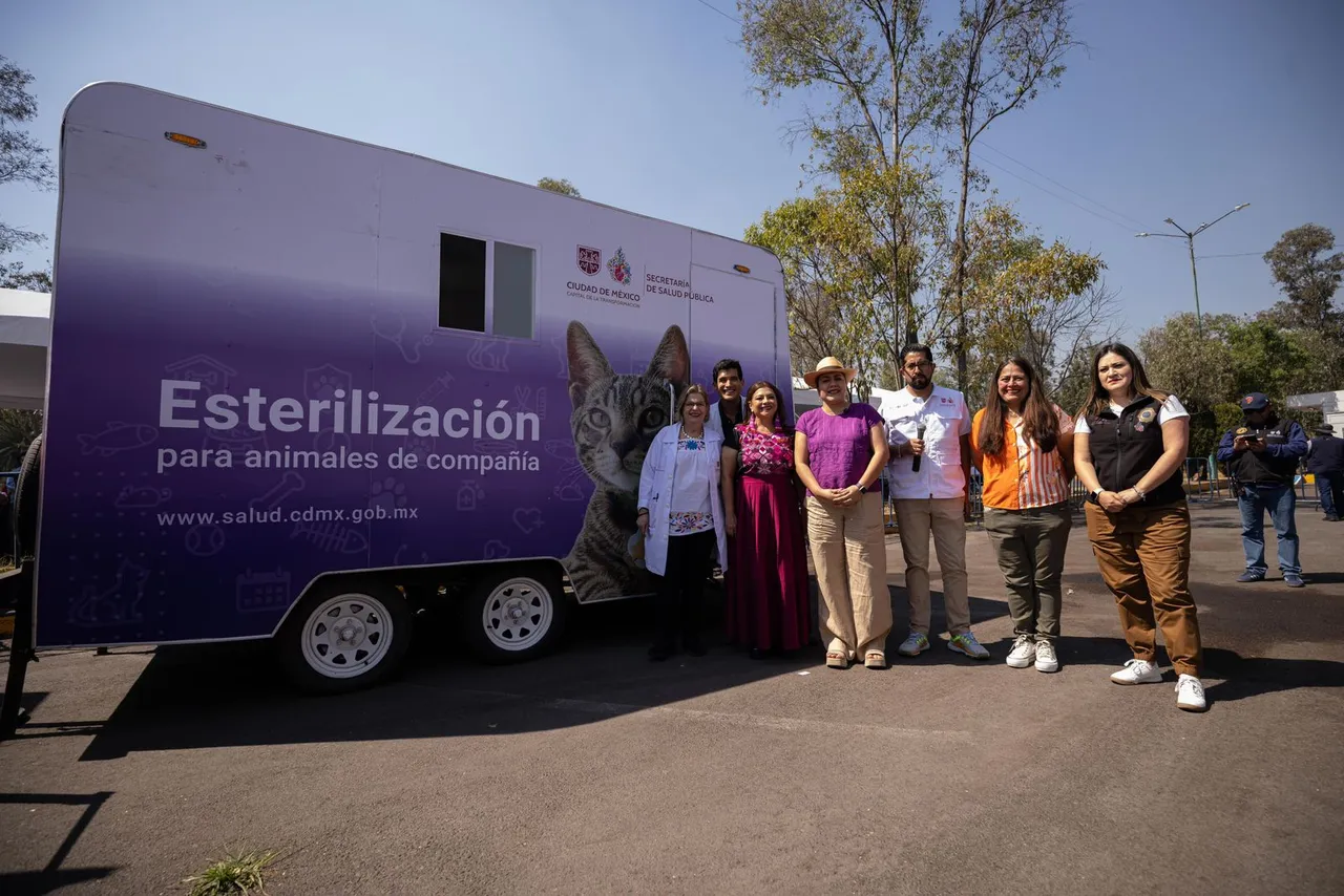 ¿Tienes mascota? CDMX tendrá clínicas veterinarias gratuitas y nuevos parques para perrosImage 2026-03-03 at 2.24.01 PM