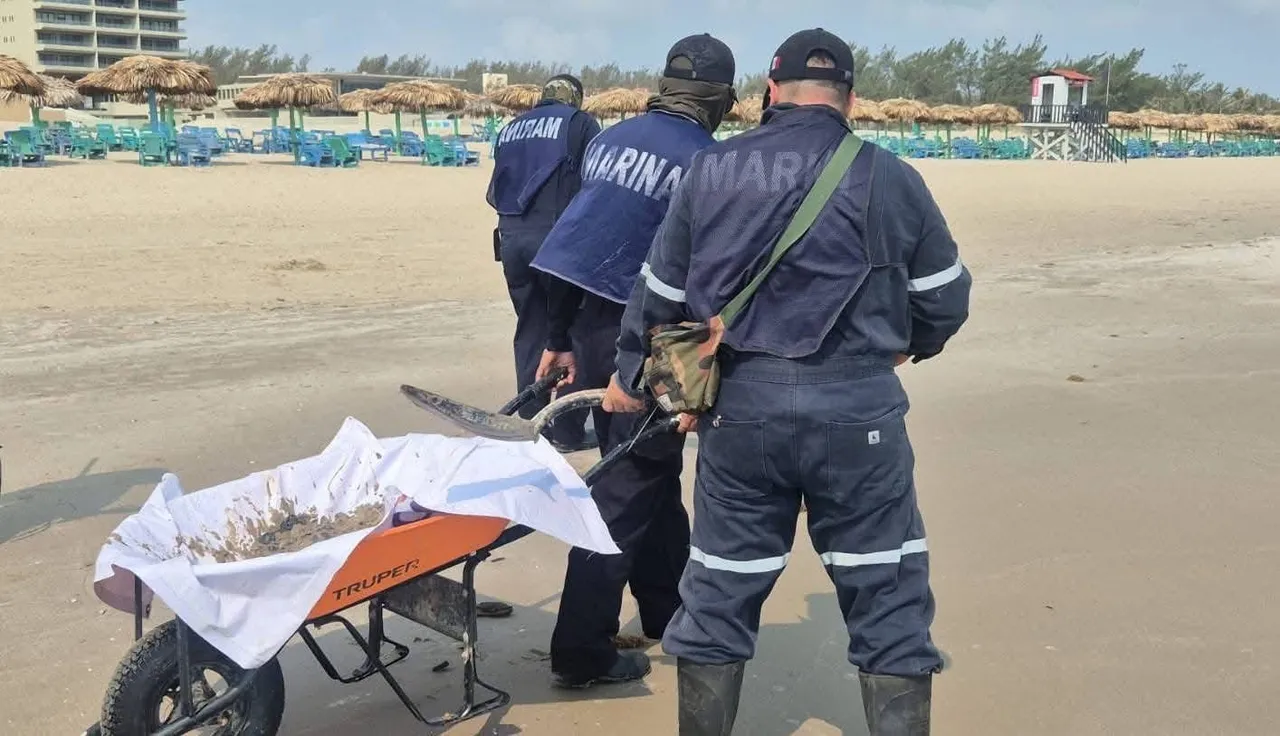 Playa Miramar lista para Semana Santa: Semar limpia restos de "chapapote" en la costa