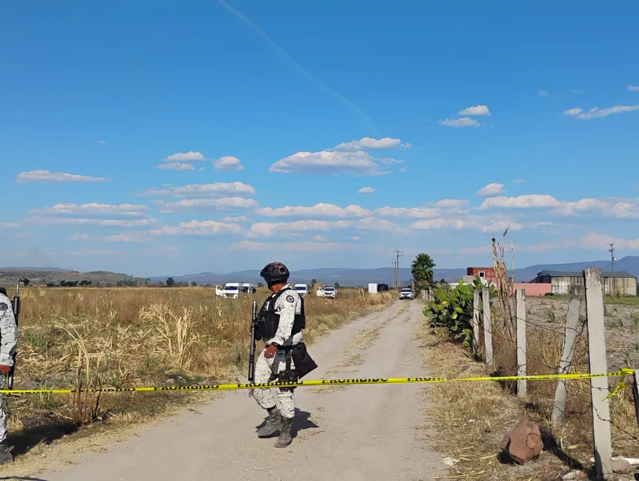 Terror en Jalisco: Siguen apareciendo restos calcinados en rancho usado para reclutamiento forzado