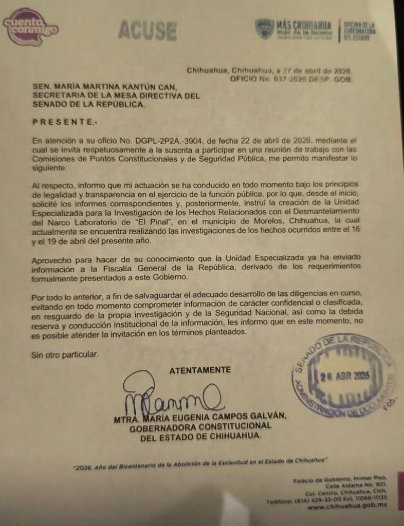 WhatsApp-Image-2026-04-28-at-09.21.51-786x1024.jpeg