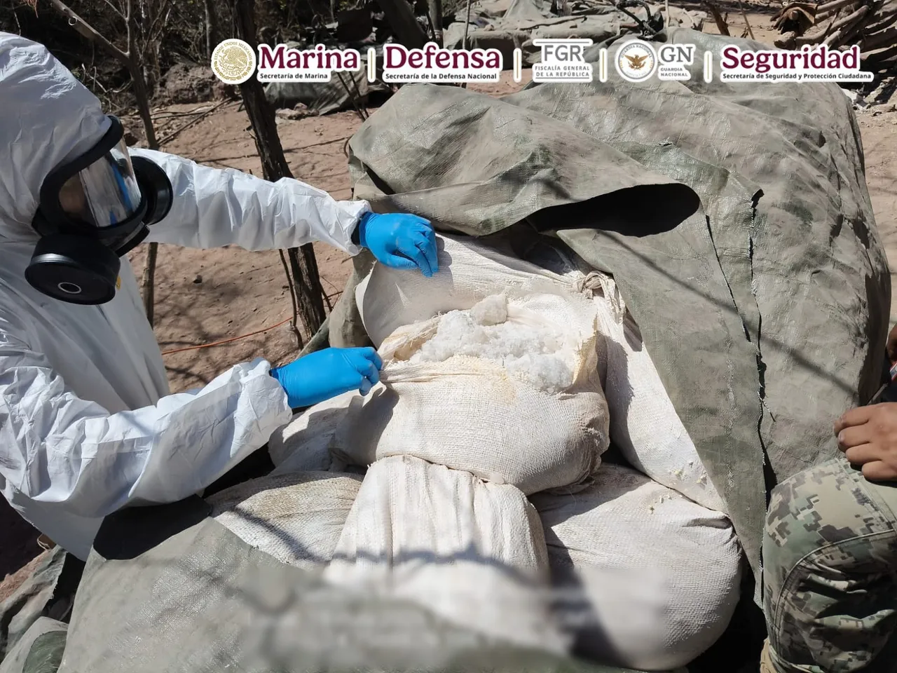 Aseguran tres laboratorios clandestinos de metanfetamina en Sinaloa