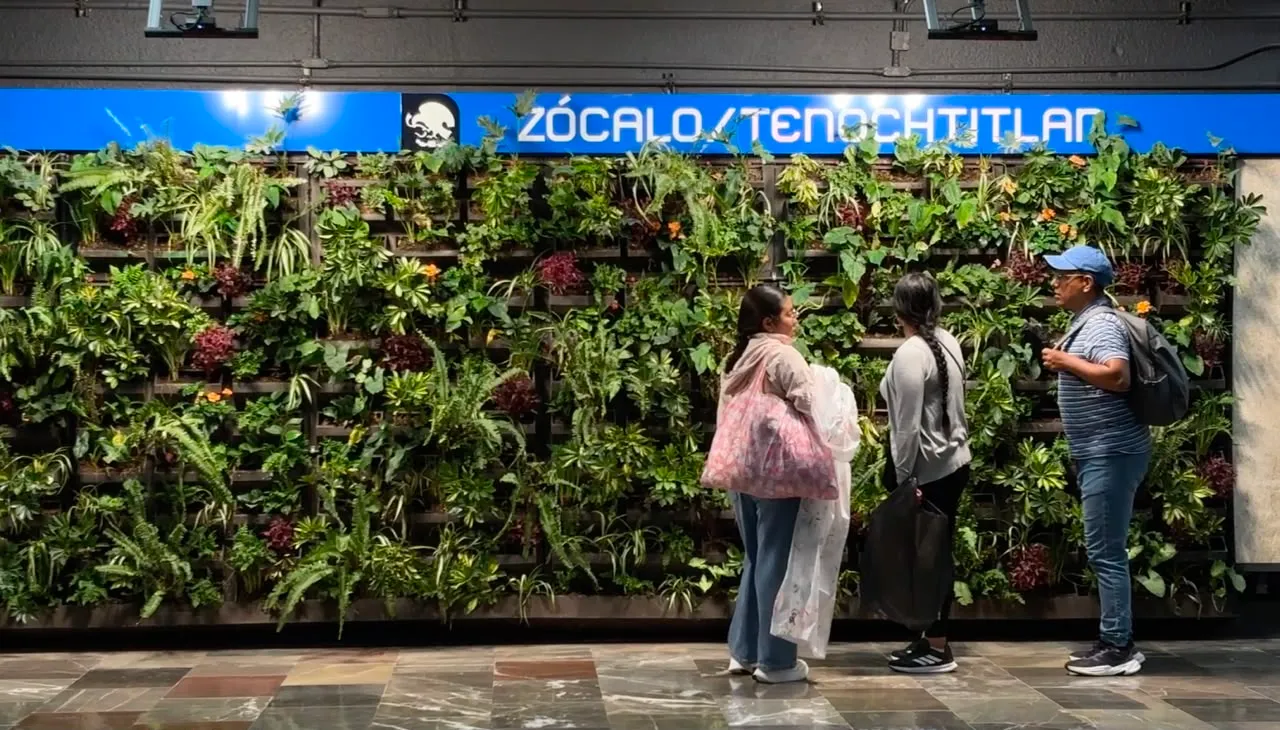 Metro revela cuánto costaron los nuevos muros verdes de la Línea 2