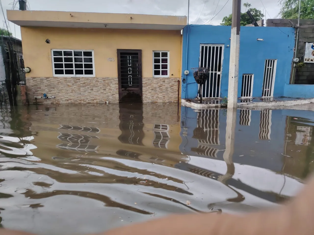 ¡Mazatlán bajo el agua! Fuertes lluvias inundan calles, derriban árboles y desbordan arroyos
