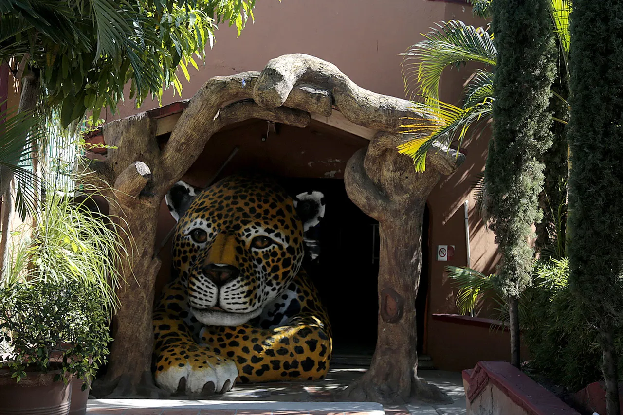 Desaparecen, venden y sacrifican a animales de zoológico del sur de México