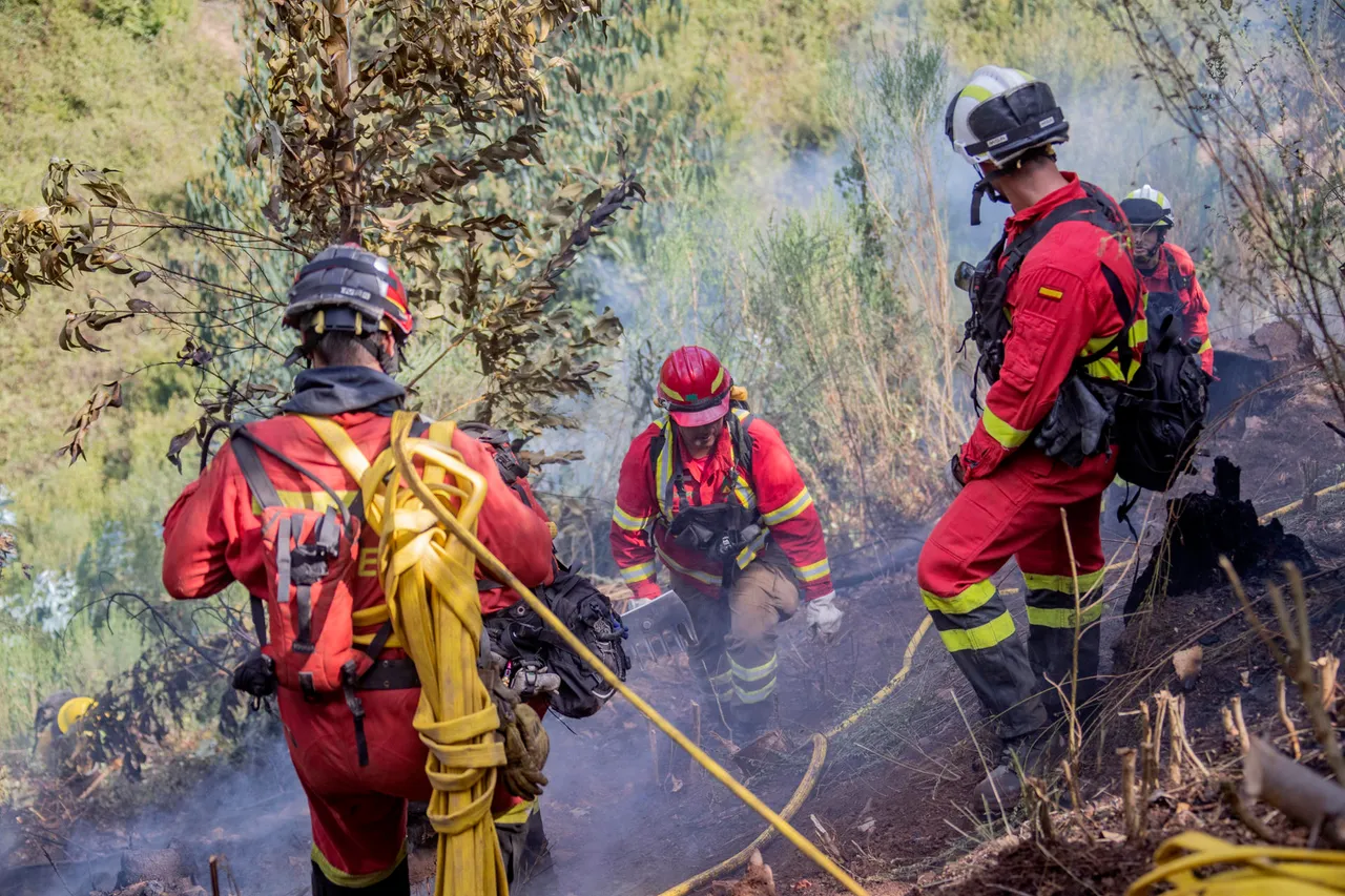 Unos 300 incendios siguen activos en Chile, con 425.000 hectáreas calcinadas