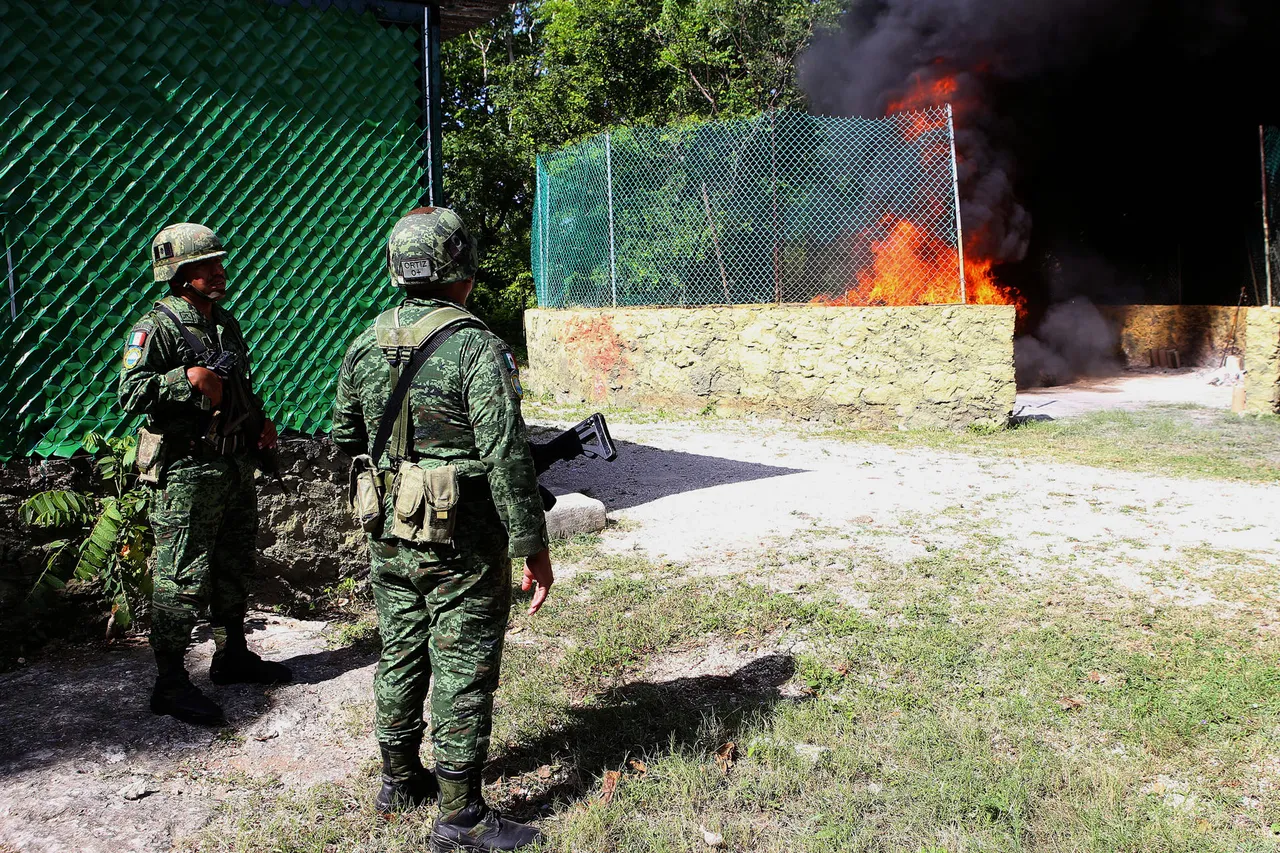 El Ejército mexicano incinera en Cancún más de 200 kilos de narcóticos