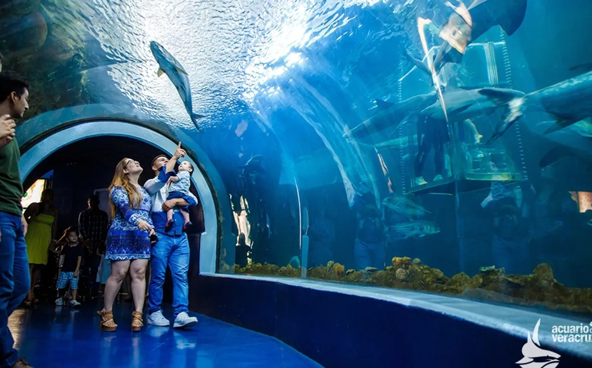 acuario