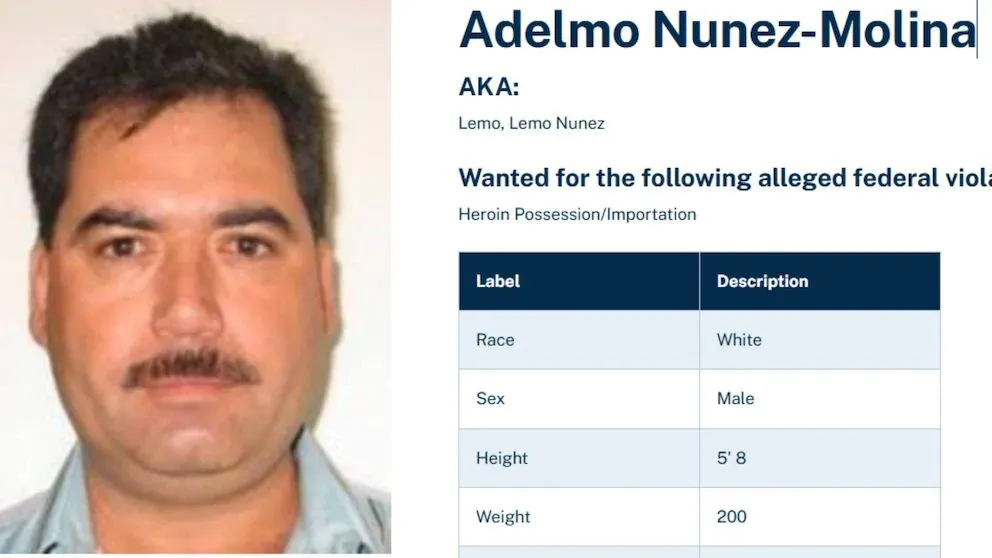 adelmo
