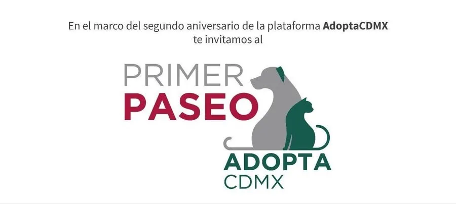 adopta