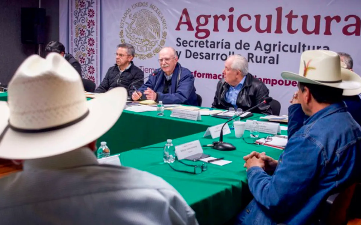 Agricultores innovan para cosechar hortalizas en el desierto del norte de México