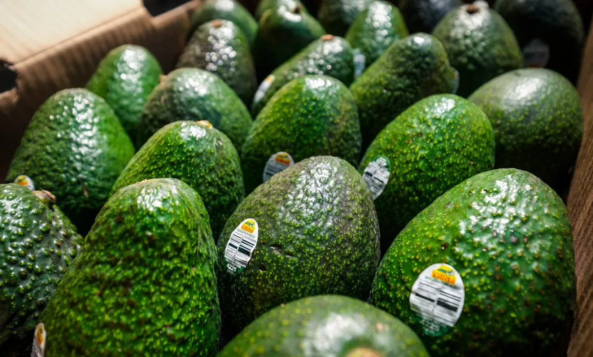 aguacates