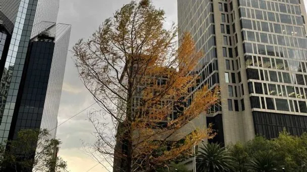ahu
