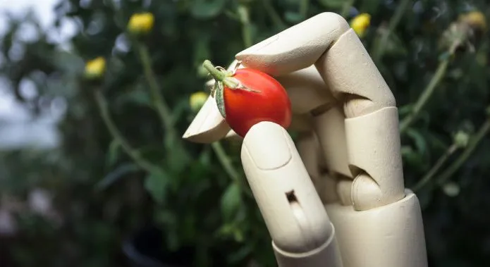 Productores agrícolas utilizando inteligencia artificial para planificar la siembra y exportación.