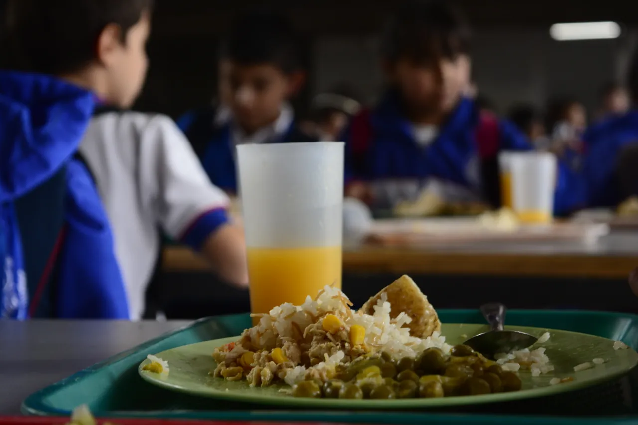 alimentacion