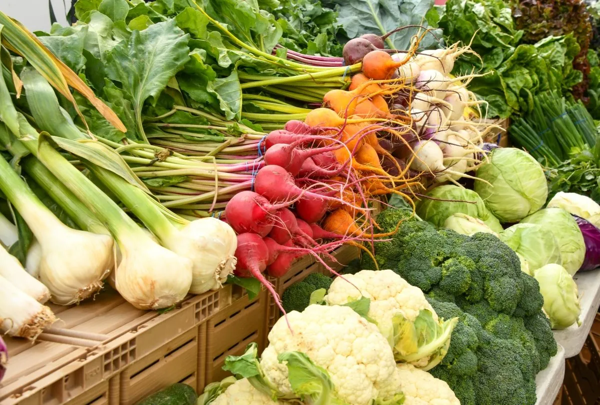 alimentos