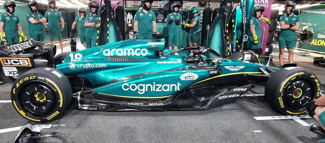 alonso fer 23