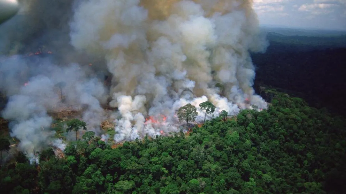 amazonia