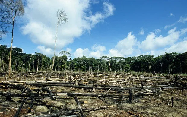 ambiental