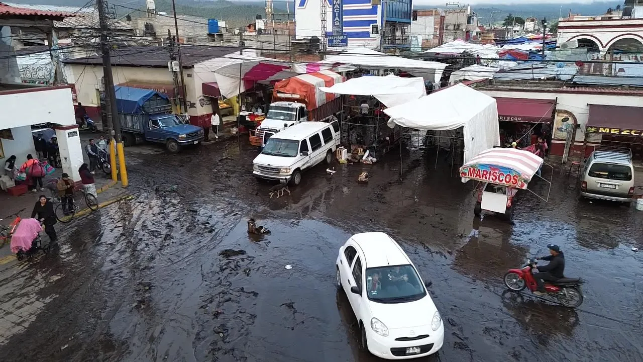 ameca1