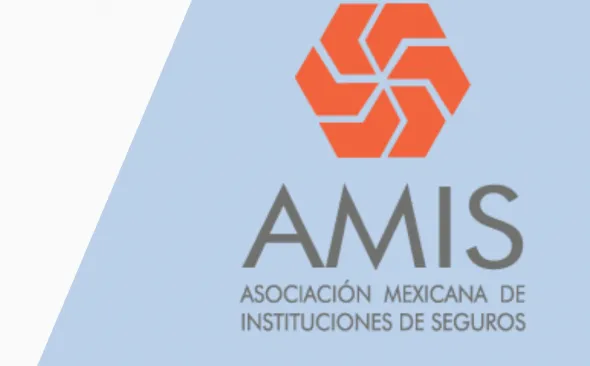 amis