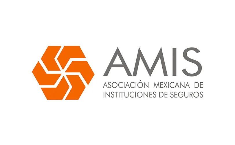 amis-cifras