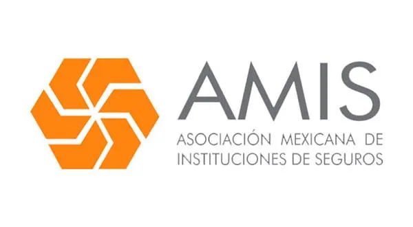 amis-logo