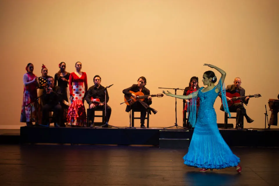 andaresflamencos (1)