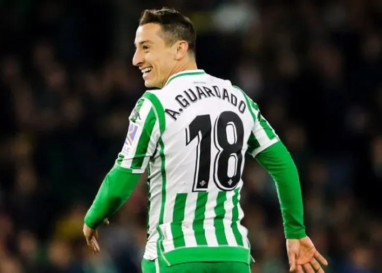 andy gardado
