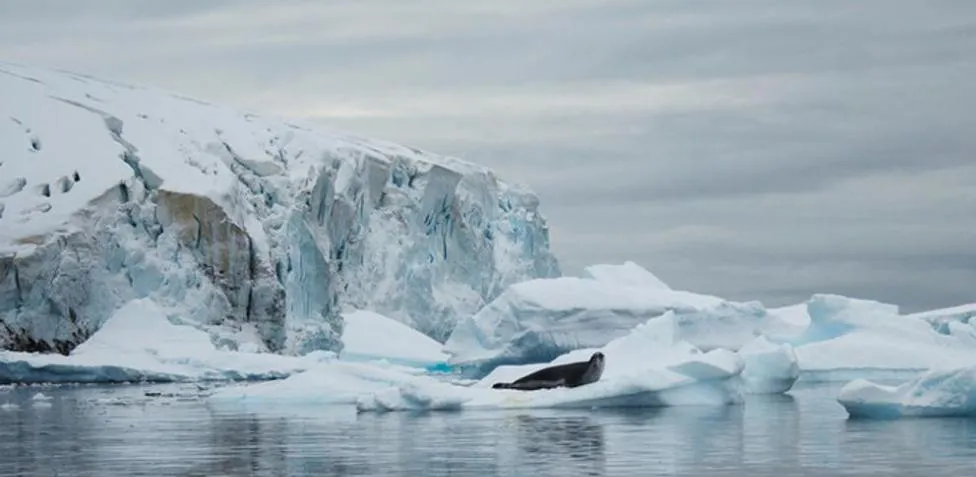 antartica