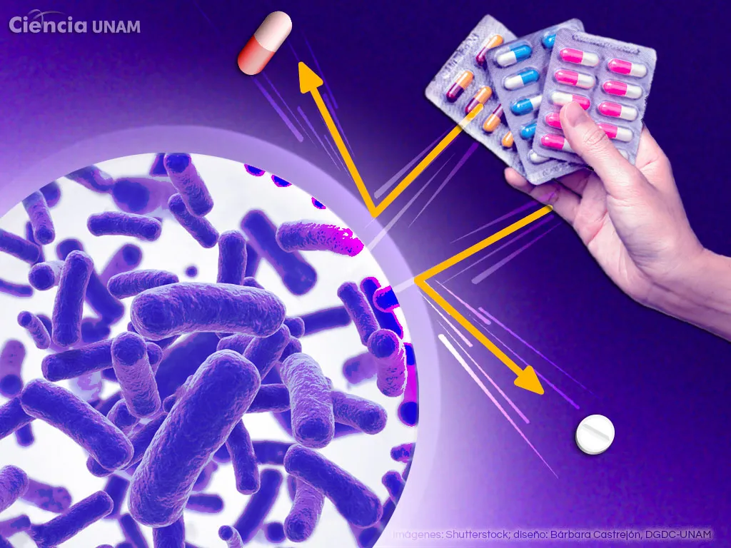 ar_resistencia_antimicrobiana_01_15102019