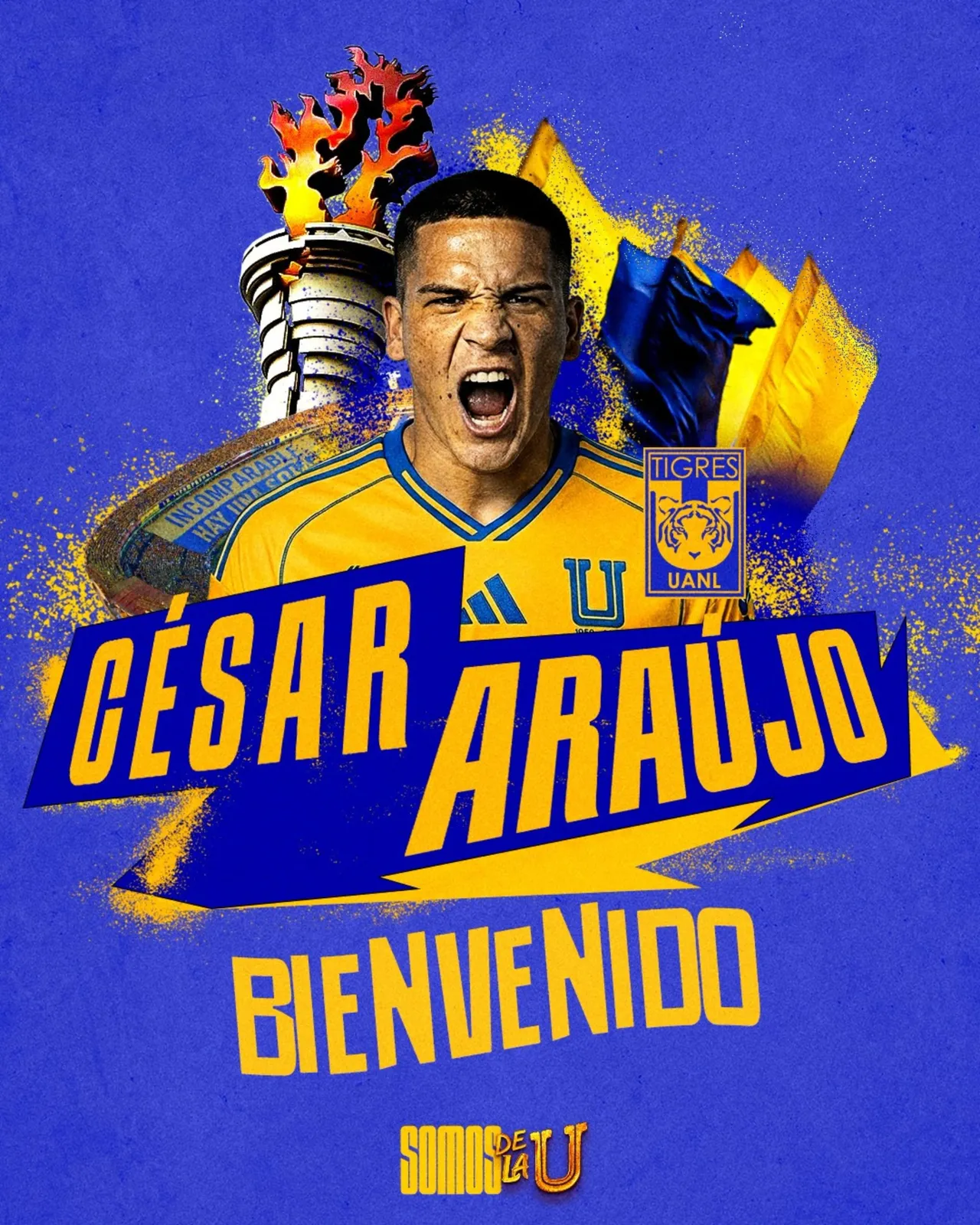 araujo tigres