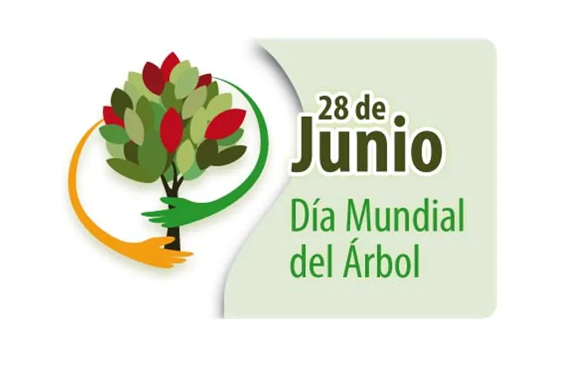 arbol