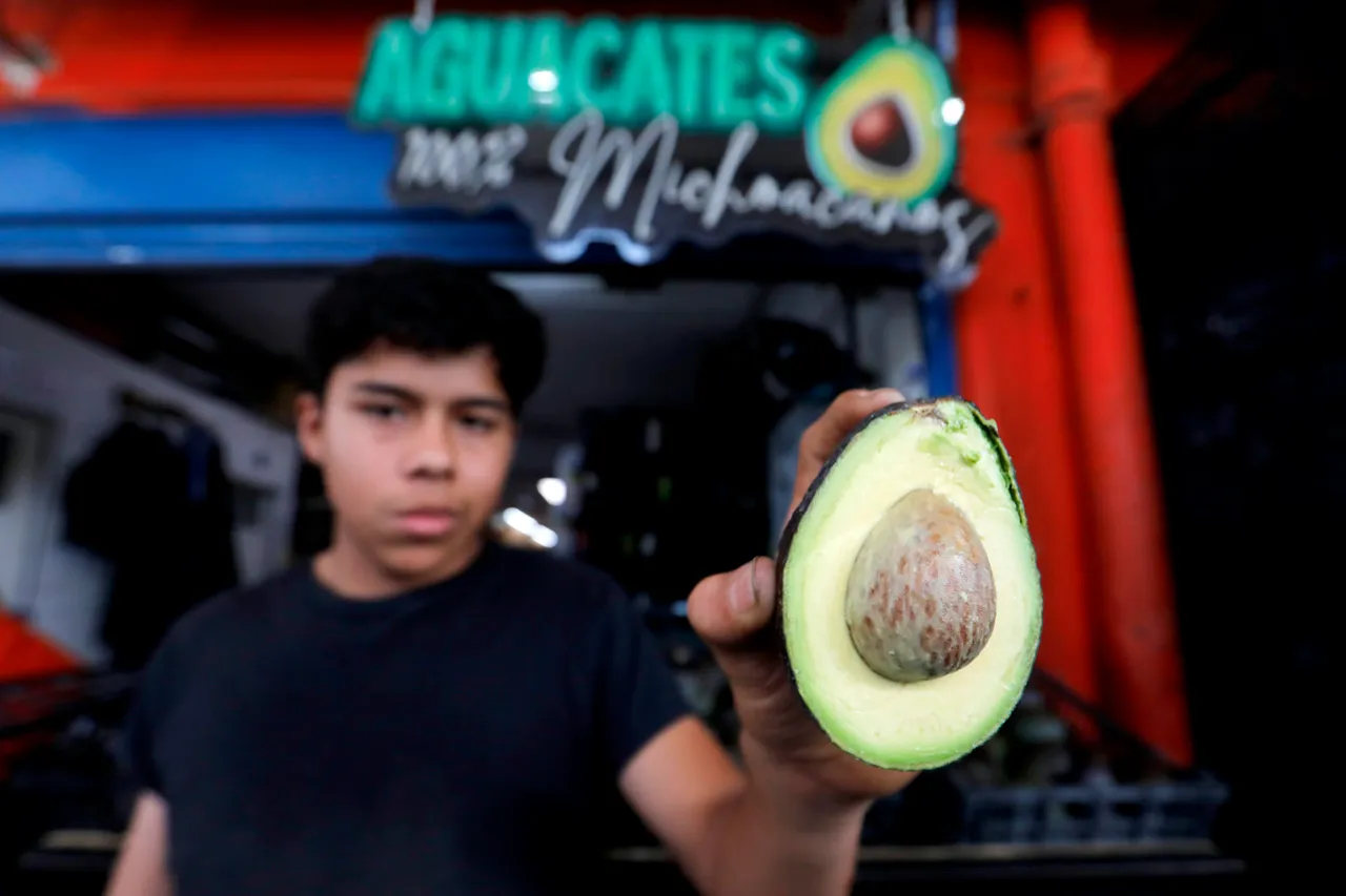 ¡Récord histórico! México inunda el Super Bowl con 127,000 toneladas de "oro verde".