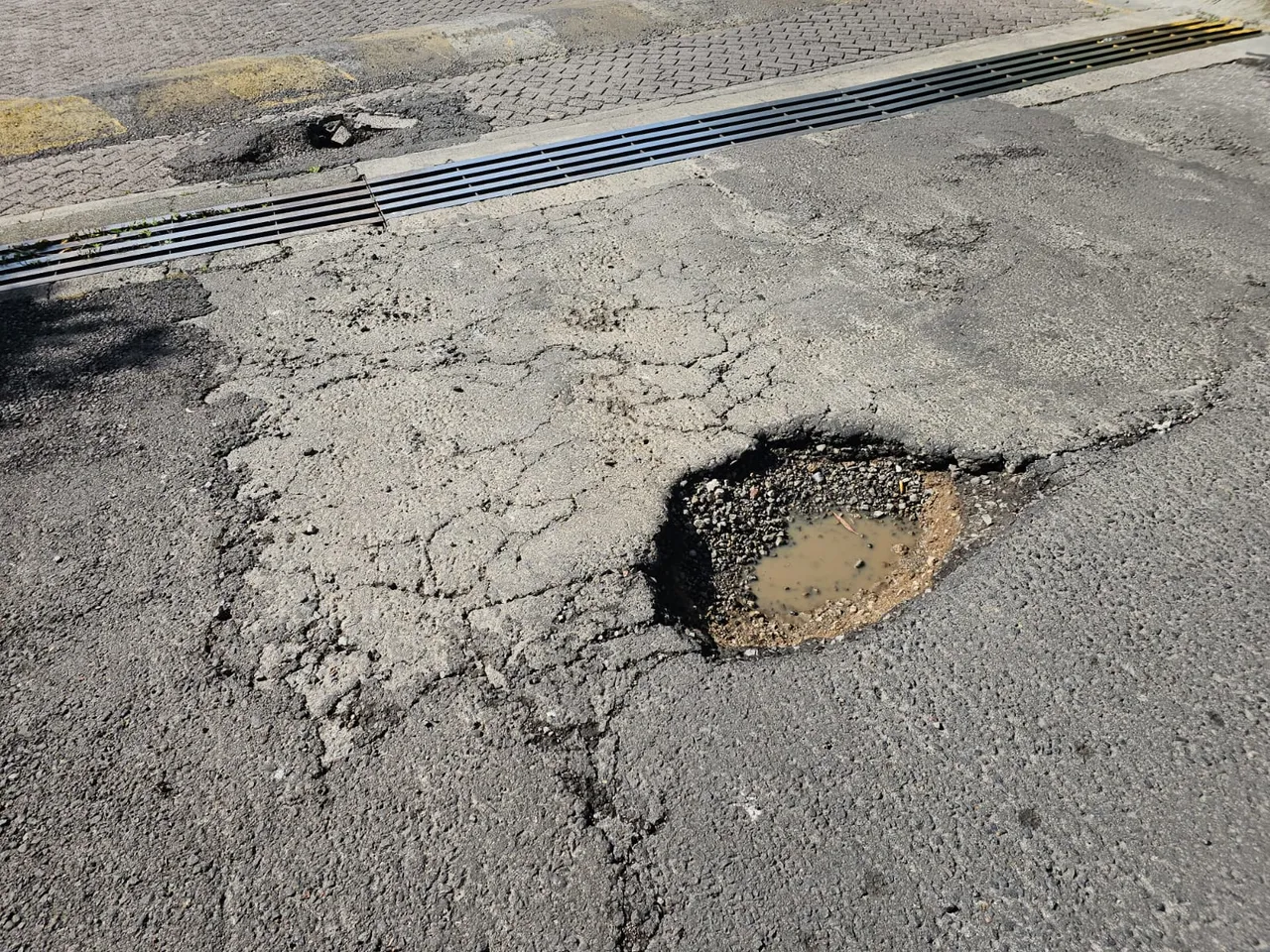 bache