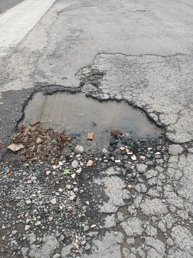 bache5