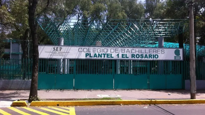 bachilleres