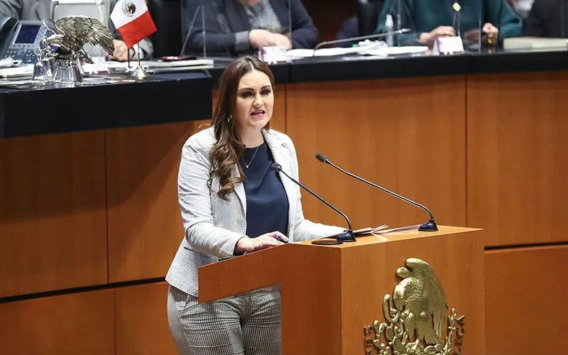 Geovanna Bañuelos de la Torre, senadora del PT, durante sesión en el Senado