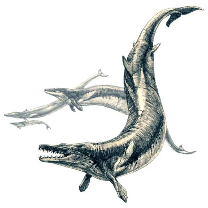basilosaurio