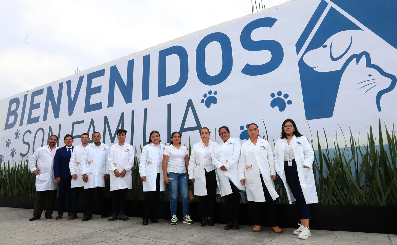 Inauguran en México primer hotel para perros y gatos abandonados para crear conciencia