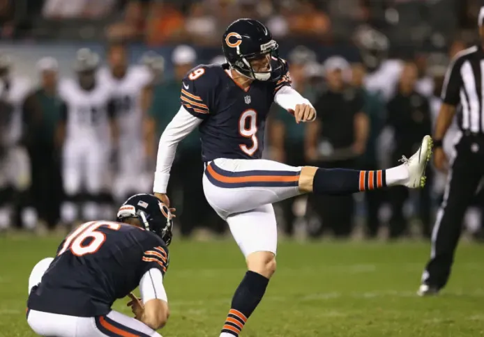 bears